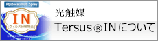 Tersus INについて