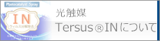 Tersus INについて